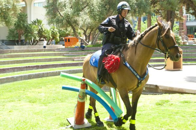 Officer Stephani Preston of the UNLV Mounted Police gives a demonstration on the maneuverability of her horse Pride on campus Tuesday, May 1, 2012.